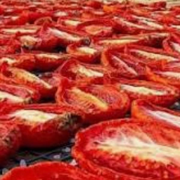 Halved sun-dried tomatoes drying on black mesh
