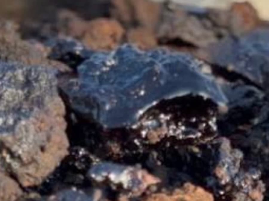 Close-up of raw dark glossy purified shilajit resin
